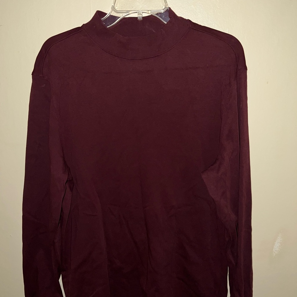 Roundtree & Yorke Men's Mock Turtleneck